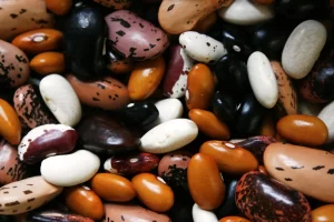 Een kleurrijke mix van bonen als voedzame basis voor vezelrijke maaltijden met peulvruchten.